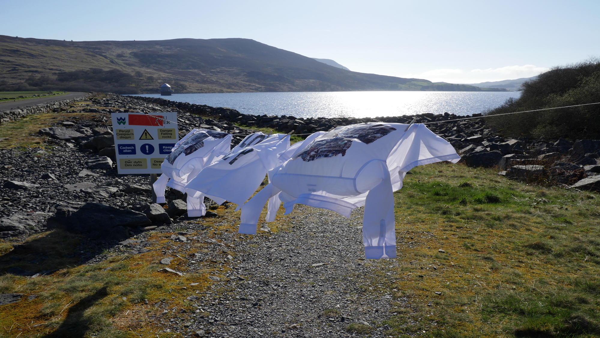 Remember Tryweryn Michelle Wright Fine Artist Remember Tryweryn Michelle Wright Fine Artist